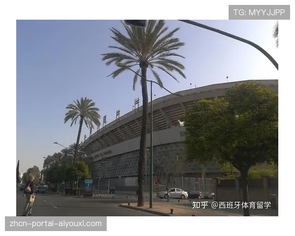 西班牙地方政府投资，为辖区内所有职业球场安装高速光纤网络